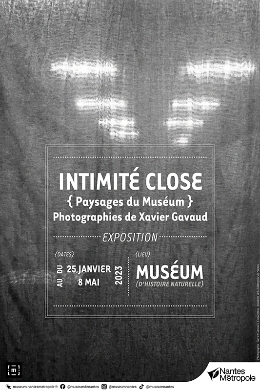 Intimite-Gavaud_Affiche